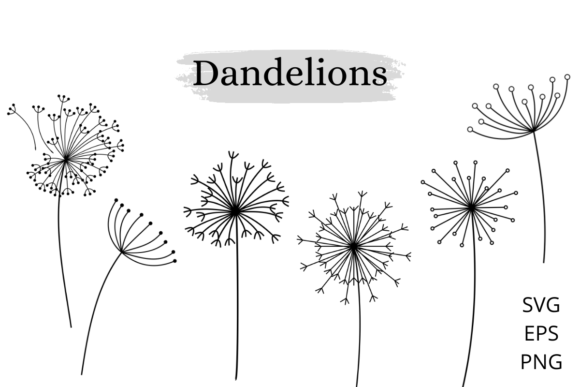 6 Dandelion Flower Illustrations