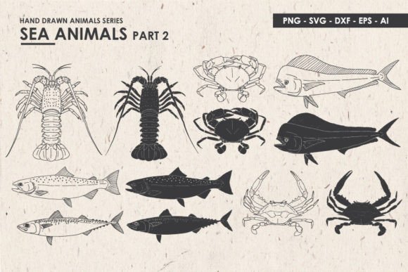 Hand Drawn Sea Animal SVG Graphics & Illustrations