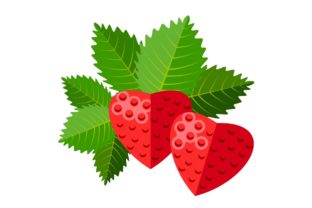 Stylized Strawberries Illustrations Review for Graphics