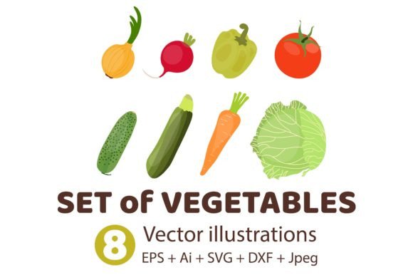 Vegetable Vector Graphics for Brand Illustrations