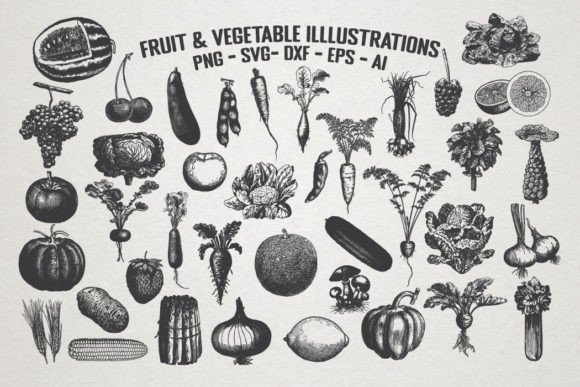 Vintage Fruit Vegetable Illustrations: Graphics Review